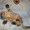 Шотландский вислоухий котёнок (мальчик) - Изображение #2, Объявление #507114
