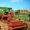 Трактор трелевочный ТТ-4 - Изображение #2, Объявление #519656