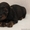 Перспективные щенки миниатюрной длинношерстной таксы - Изображение #8, Объявление #554523