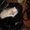 продам котиков невской маскарадной породы - Изображение #3, Объявление #612037
