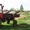 трактор Т-16МГ спецтехника - Изображение #3, Объявление #656172
