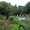 Сад в мариевке 3 сотки нововятский район - Изображение #3, Объявление #714977