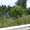 Сад в мариевке 3 сотки нововятский район - Изображение #7, Объявление #714977