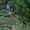 Сад в мариевке 3 сотки нововятский район - Изображение #8, Объявление #714977