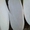 черная редька и дайкон(сладкая белая редька) - Изображение #1, Объявление #825092