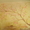 Художественная роспись стен от 1000р кв м - Изображение #1, Объявление #822112