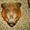 продам чучела животных:медведя,лося,кабана. - Изображение #8, Объявление #870461