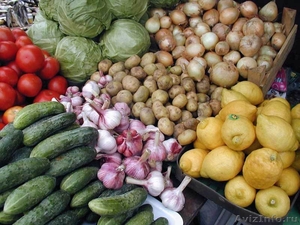 продаю овощи свежего урожая, качество - Изображение #4, Объявление #501140