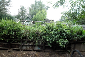 Сад в мариевке 3 сотки нововятский район - Изображение #6, Объявление #714977