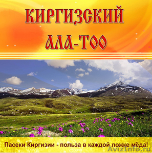 продаем горный мед из Киргизии в ассортименте оптом - Изображение #1, Объявление #896775